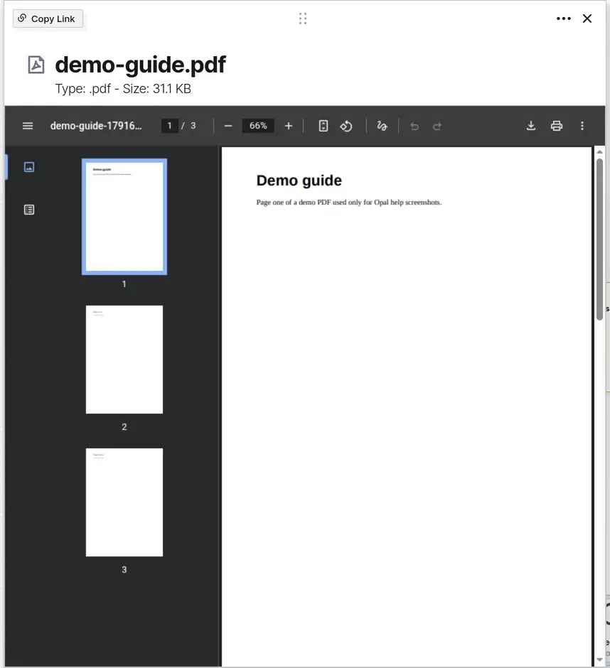 What is a file item: a PDF file item open in its page view