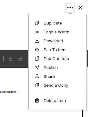What is a file item: the more options menu open on a file item