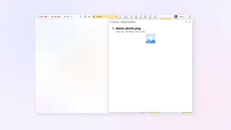 Images on the Grid: View, Resize, and Open: screenshot of Opal