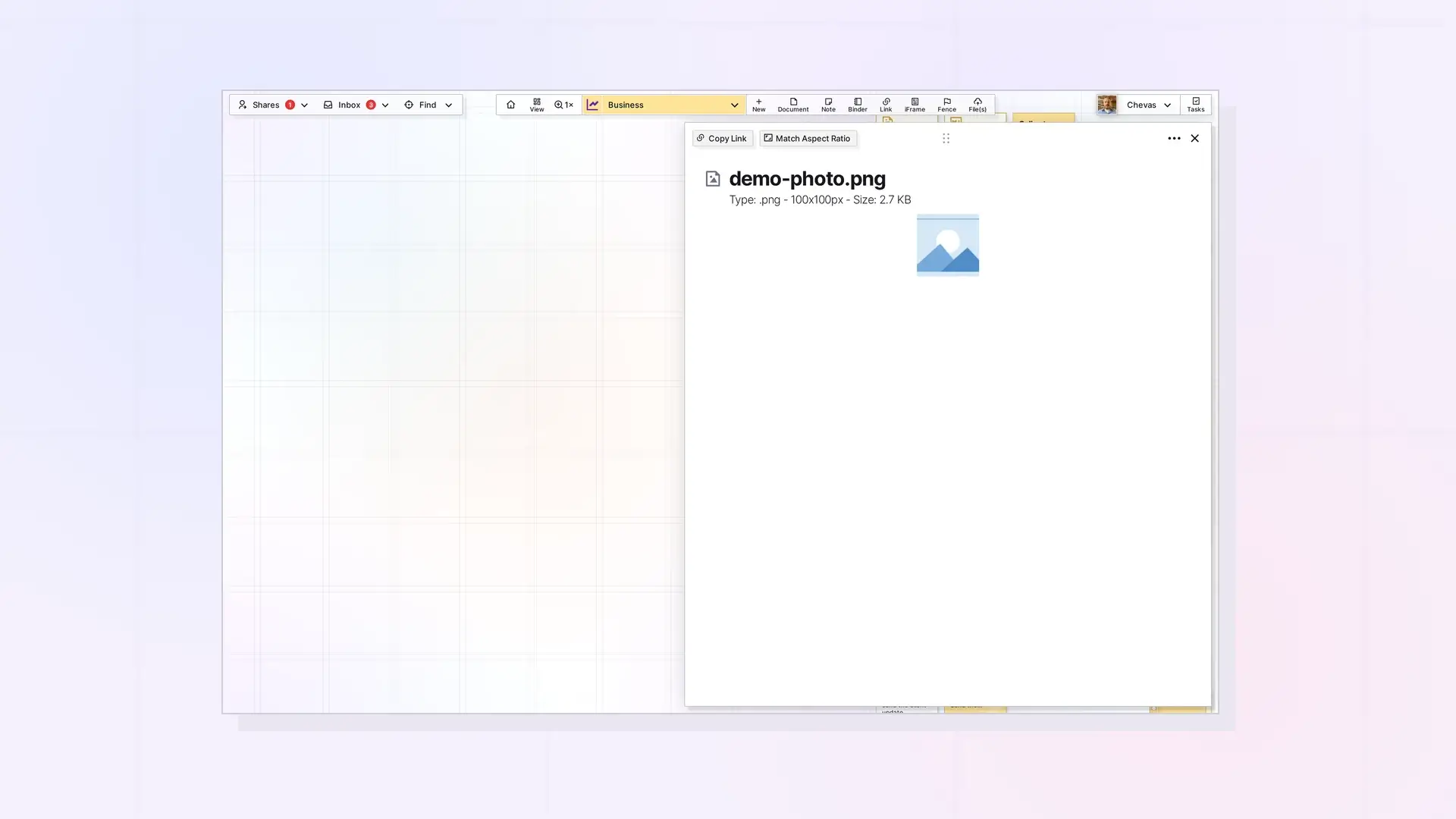 Images on the Grid: View, Resize, and Open: screenshot of Opal