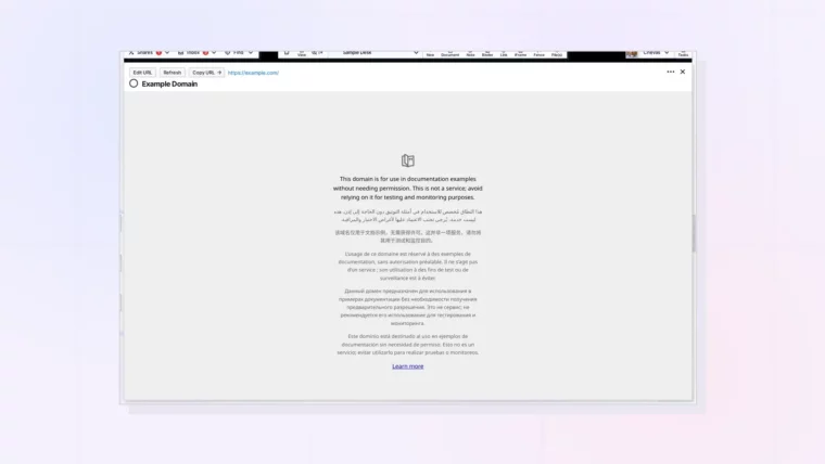 Resize and Arrange iFrames: A wide iFrame page next to the workspace grid, screenshot